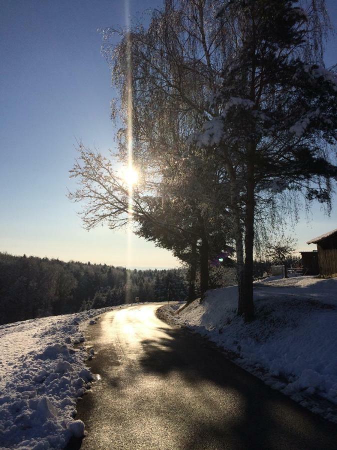 Nikolaier Weinblick - Ferienwohnung Muskateller Sankt Nikolai ob Drassling Exterior foto